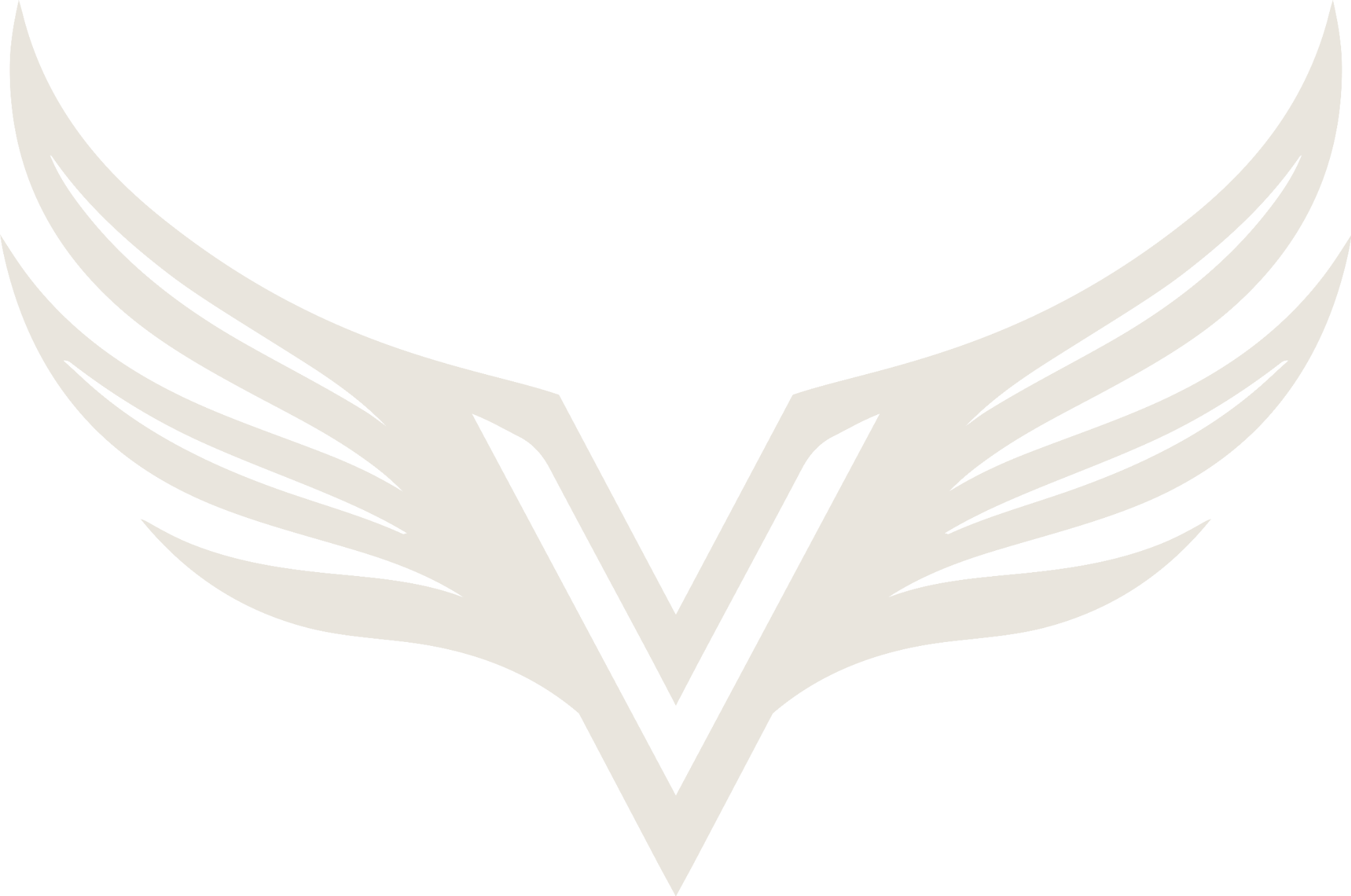 Volicity wing V logo